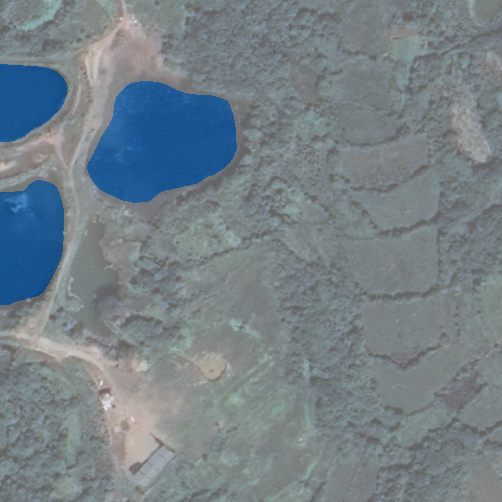Segmentation overlay for tile 2523